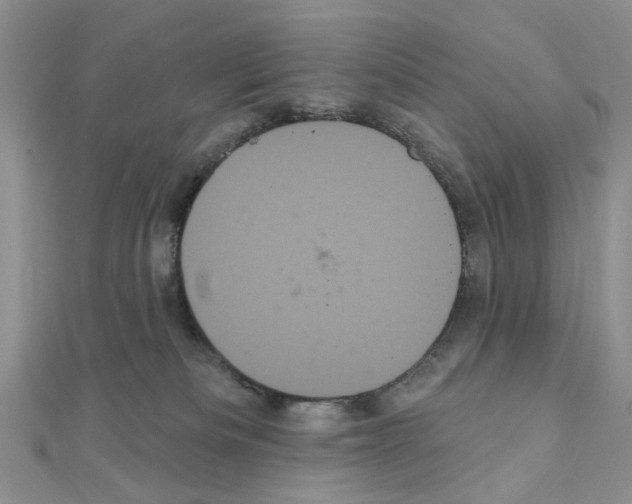 X0000111050133200908061525