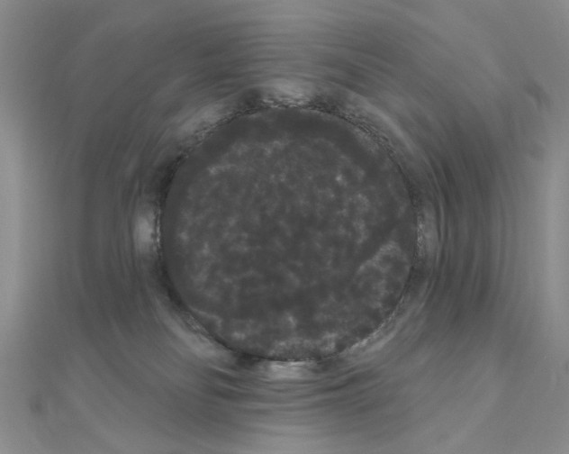 X0000111050134200908061525