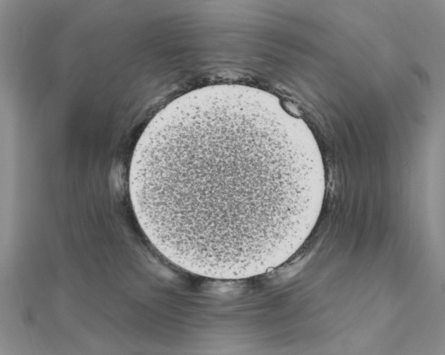 X0000111050135200908061525