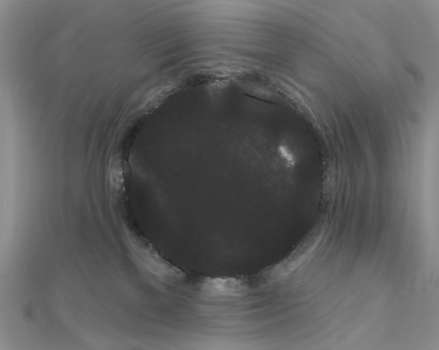 X0000111050137200908061525