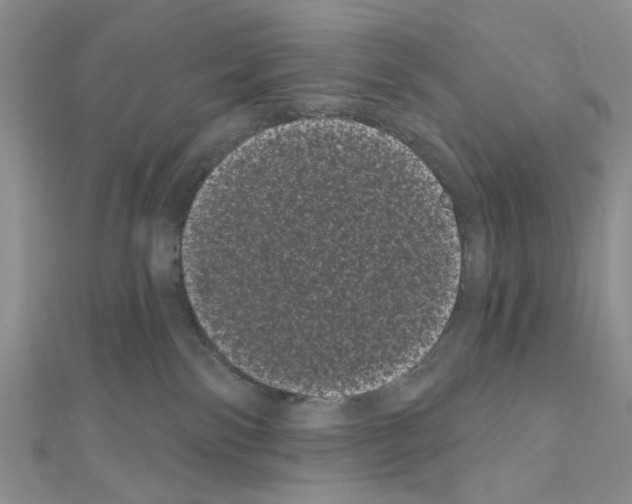 X0000111050138200908061525