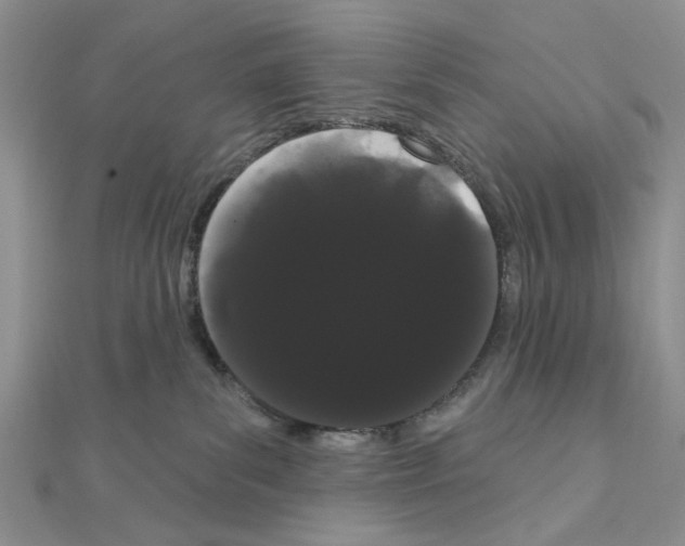 X0000111050139200908061525