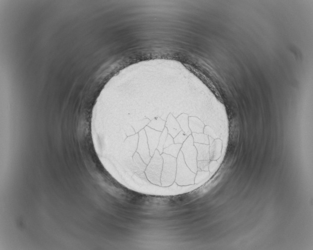 X0000111050140200908061525