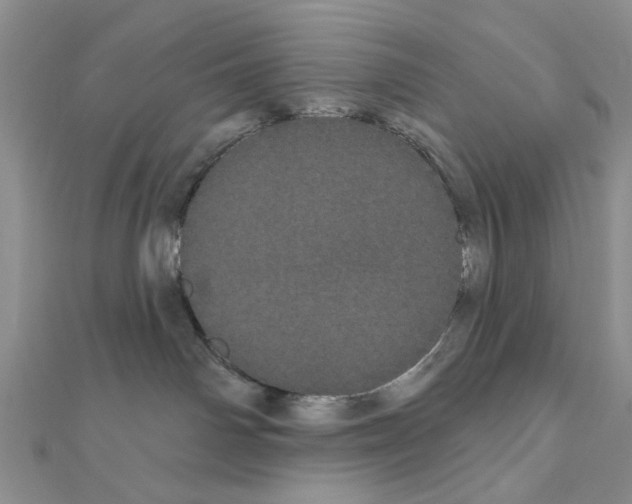 X0000111050142200908061525