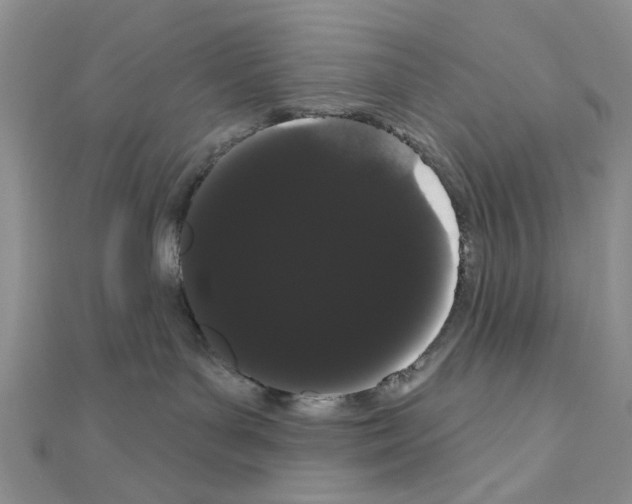 X0000111050143200908061525