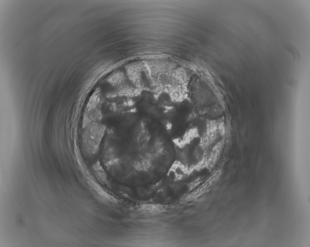 X0000111050145200908061525