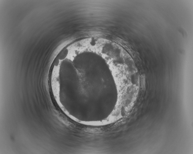 X0000111050147200908061525