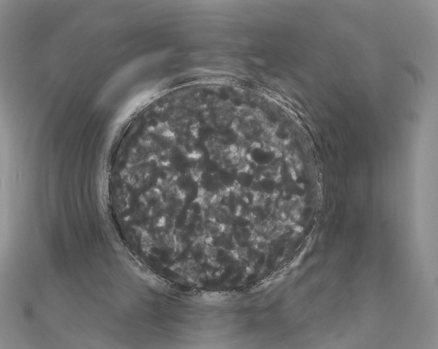 X0000111050149200908061525