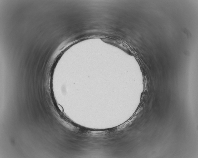 X0000111050150200908061525