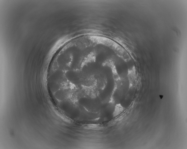 X0000111050151200908061525