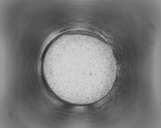 X0000111050152200908061525