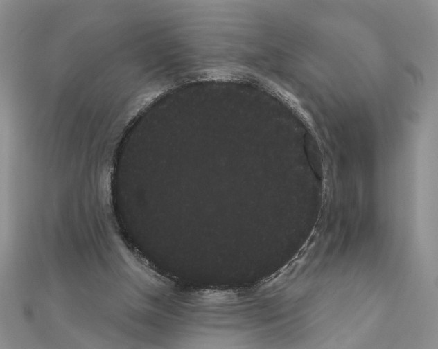 X0000111050154200908061525