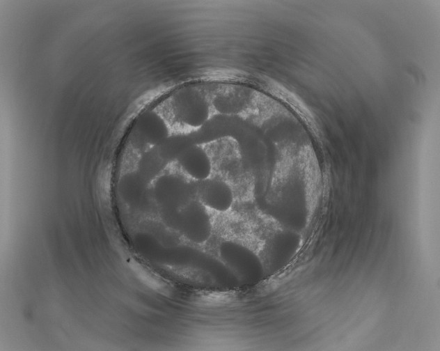 X0000111050155200908061525