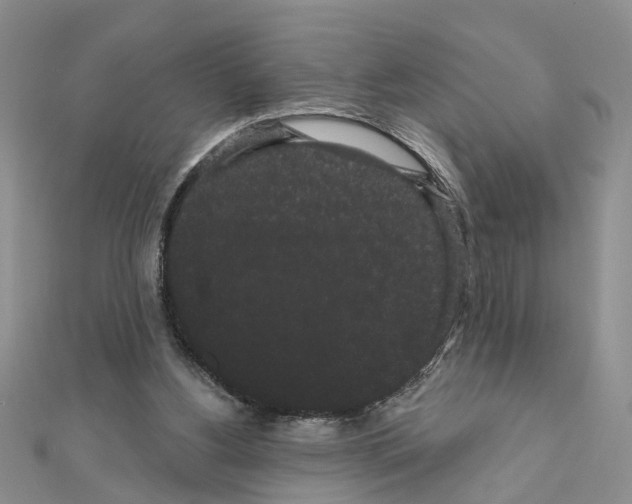 X0000111050156200908061525