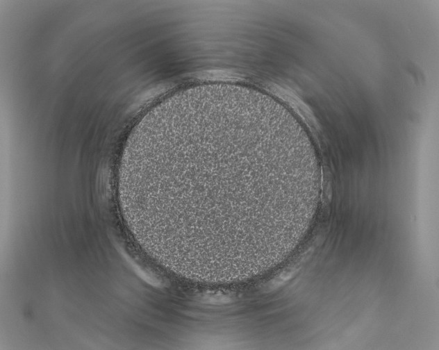 X0000111050157200908061525