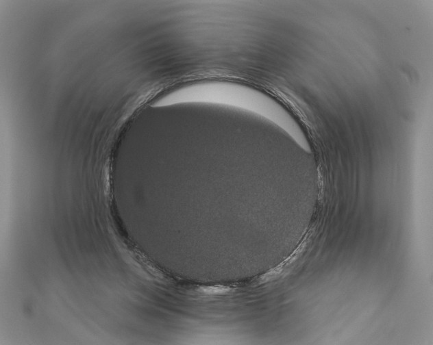 X0000111050158200908061525