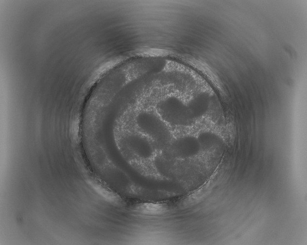 X0000111050159200908061525