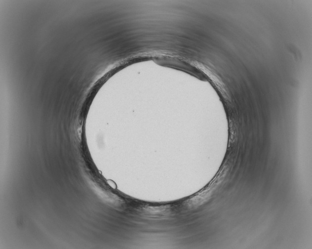 X0000111050160200908061525