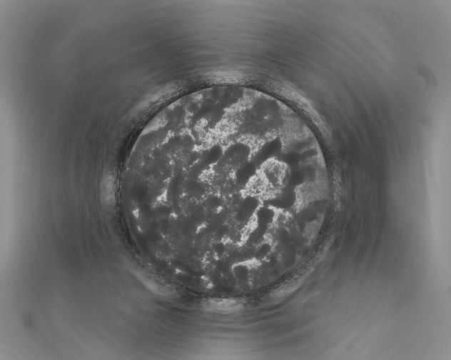 X0000111050161200908061525