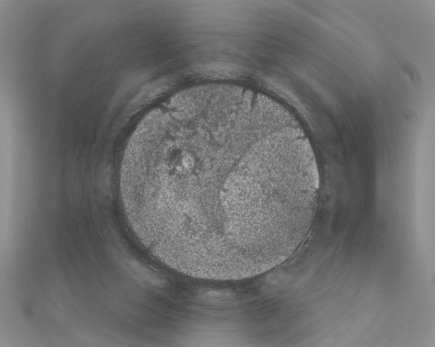 X0000111050162200908061525