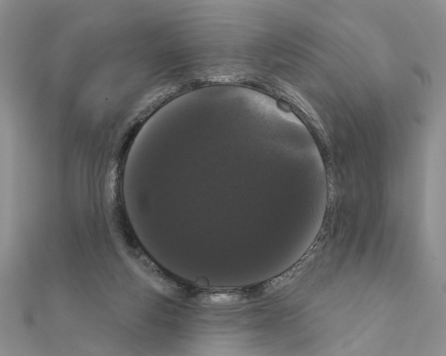 X0000111050163200908061525