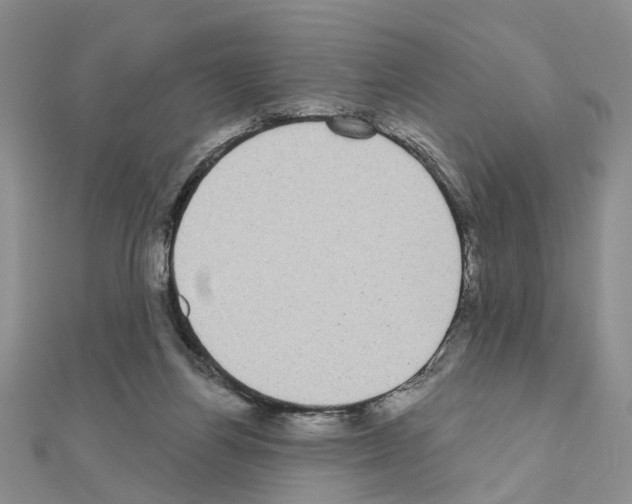 X0000111050164200908061525