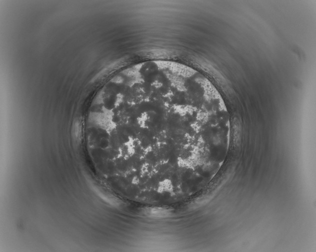 X0000111050165200908061525