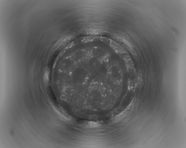 X0000111050166200908061525