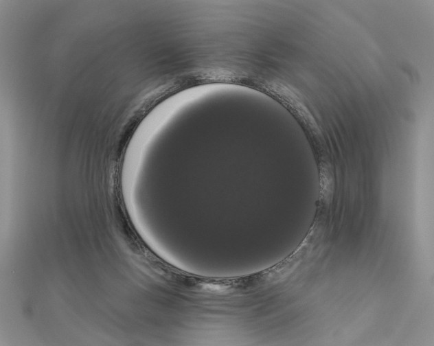 X0000111050167200908061525