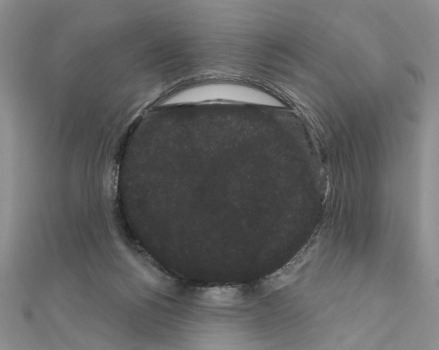 X0000111050168200908061525