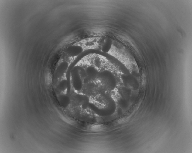 X0000111050173200908061525