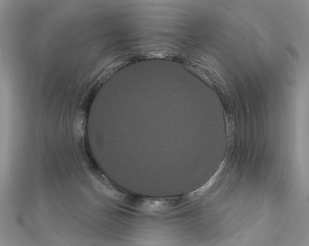 X0000111050174200908061525