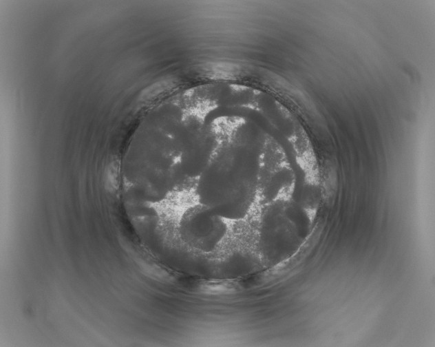 X0000111050175200908061525