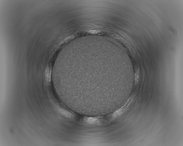 X0000111050180200908061525