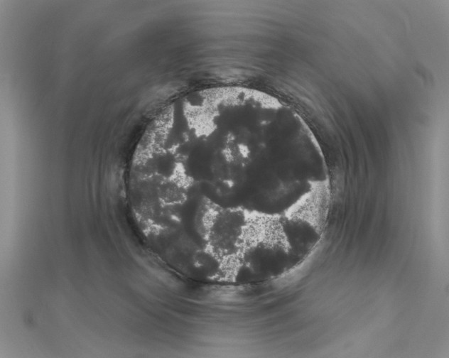 X0000111050182200908061525