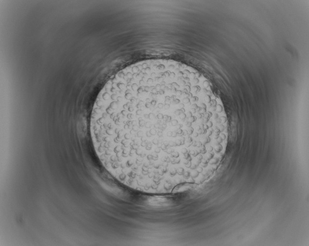 X0000111050183200908061525