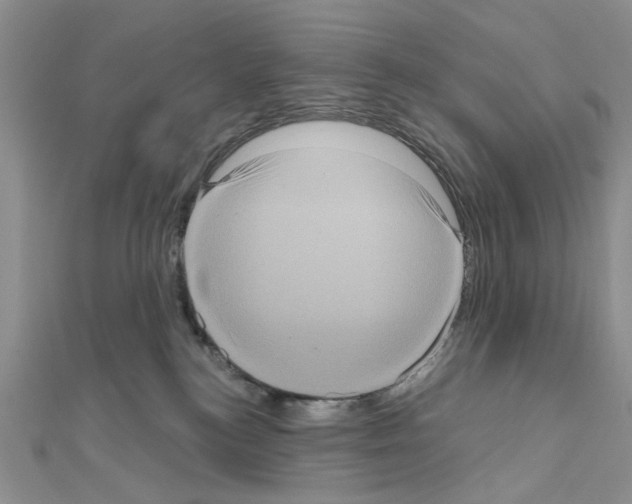 X0000111050184200908061525