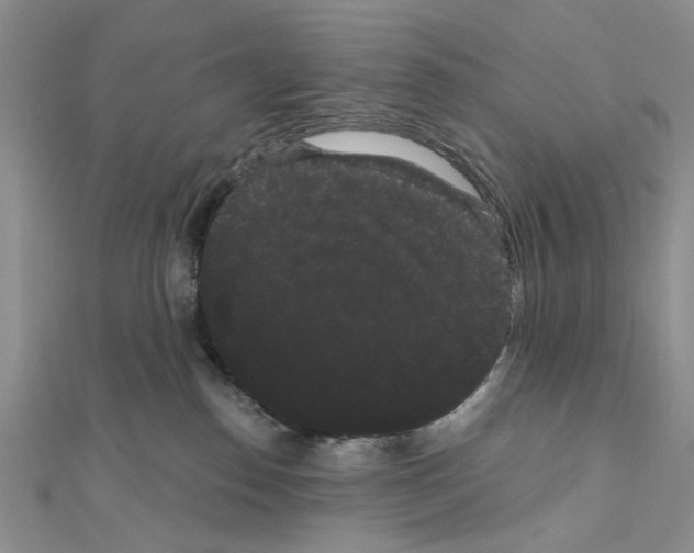 X0000111050186200908061525