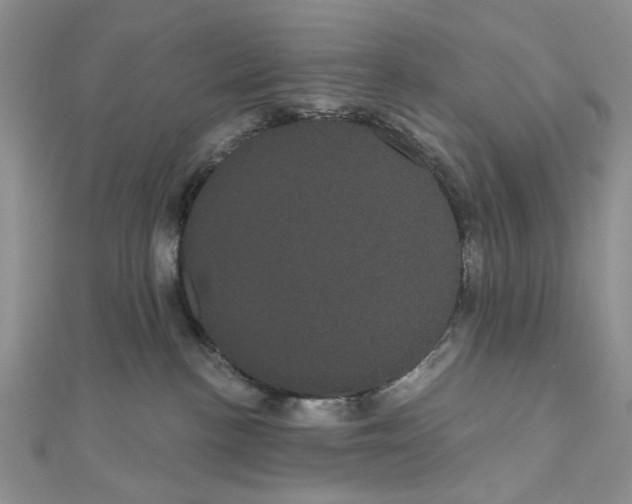 X0000111050188200908061525