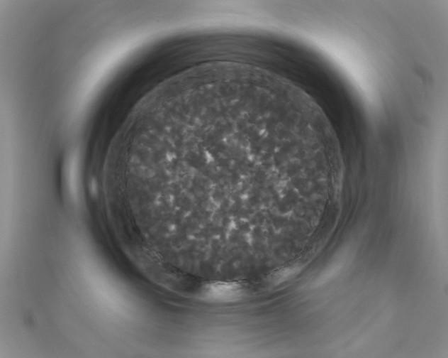 X0000111050189200908061525