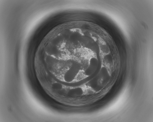 X0000111050191200908061525