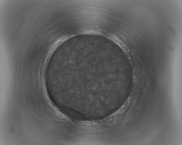 X0000111050193200908061525