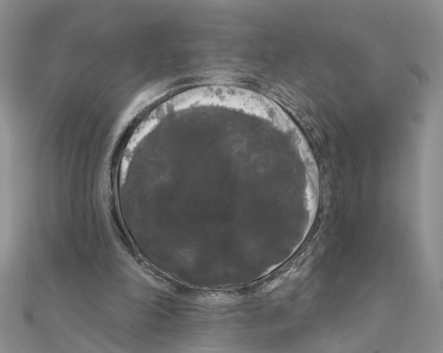 X0000111050198200908061524