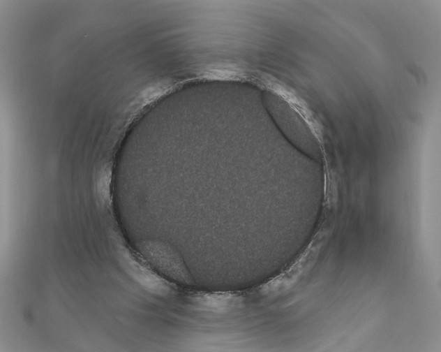 X0000111050201200908061524