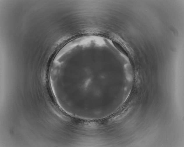 X0000111050203200908061524