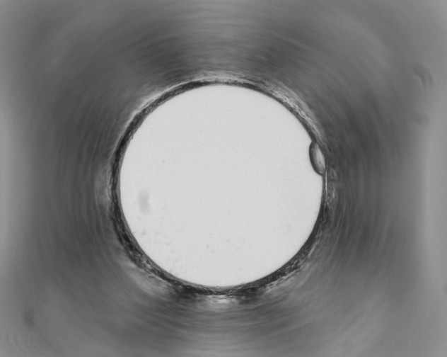 X0000111050204200908061524