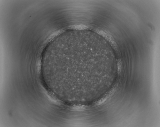 X0000111050206200908061524