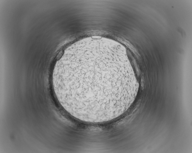 X0000111050207200908061524