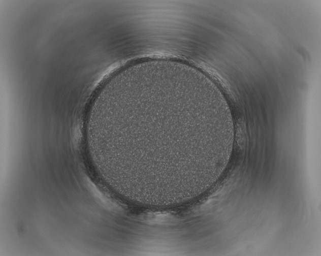 X0000111050208200908061524