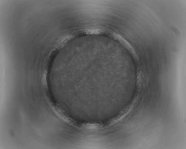 X0000111050209200908061524